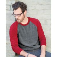 Champ Eco-Fleece Colorblocked Sweatshirt Thumbnail