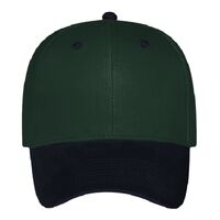 OTTO CAP 6 Panel Low Profile Baseball Cap Thumbnail