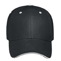 OTTO CAP 6 Panel Low Profile Baseball Cap Thumbnail