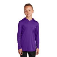 Youth PosiCharge ® Competitor Hooded Pullover Thumbnail