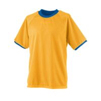 Youth Reversible Practice Jersey Thumbnail