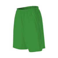 Youth Training Shorts with Pockets Thumbnail